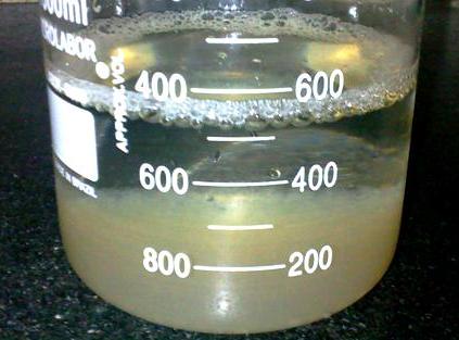 Laboratorio